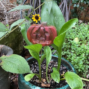 Plant Poke, Garden Art, potted plant decoration, resin, pumpkin, jack-o’-lantern, Halloween