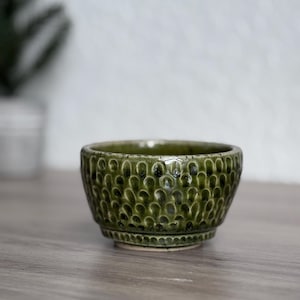 Green Ceramic Succulent Planter: Handmade Textured Clay Pot