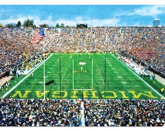 Michigan Stadium The Big House Football Stadium Wolverines College NCAA 1MC1 8x10-40x60in Oil Painting Art Print