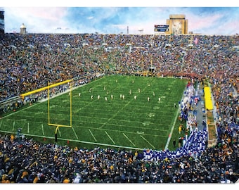 Notre Dame Stadium Fighting Irish Football Team College NCAA 1MC1
