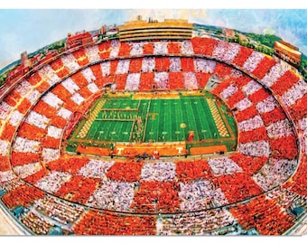 Tennessee Volunteers Neyland Stadium UT Vols NCAA Football Checkerboard Stands Stadium Field 1MC1 Sizes 8x10-40x60in tennessee vol GBO