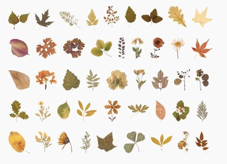 Owala Water Bottle, Stanley Cup Accessories, Tumbler Charms With