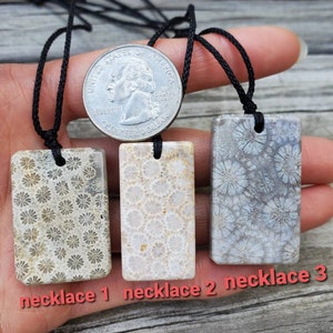 Collier fossile de corail naturel, collier réglable de corail fossilisé de pierres précieuses, collier de pierres Petosky, cadeau pour elle