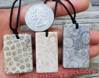 Collar de fósil de coral: collar ajustable con piedras preciosas naturales
