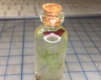 Peut inclure: Une petite bouteille en verre avec un bouchon en liège remplie de liquide clair et de matière végétale verte.