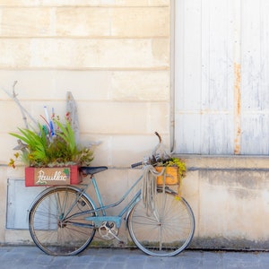 Flowers and a bicycle in the French Bordeaux region (Canvas / Photo Print)