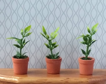 Miniature Potted Plant Dollhouse Interior Accessories, Scale  1/12, 1/6