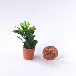Dollhouse Miniature Plant, Dollhouse ModernDecoration, Scale 1/12, 1/6