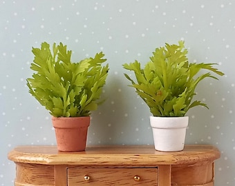 Miniature Potted Fern Plant Dollhouse Mini Garden Home Decor, Scale 1:6