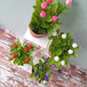 Rose Bush Miniature Plant Modern Dollhouse Decoration,  Scale 1/6, 1/12