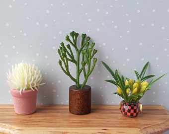 Modern Miniature Potted Plants Dollhouse Decoration, Scale 1/6, 1/12