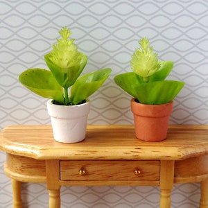 Miniature Plant Dollhouse Decoration Modern Miniature Potted Plants, Scale 1/6, 1/12