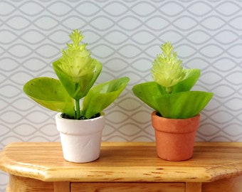 Miniature Plant Dollhouse Decoration Modern Miniature Potted Plants, Scale 1/6, 1/12