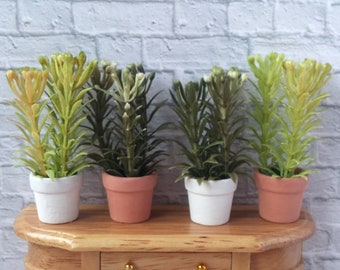Miniature Potted Plant: Dollhouse Modern Decor (1/6, 1/12 Scale)