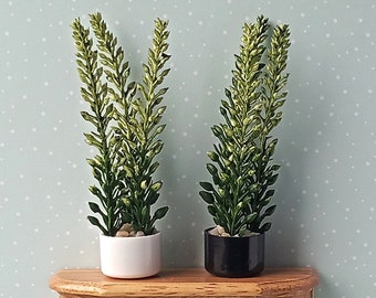 Miniature Dollhouse Plant: Modern Potted Plant, 1/6 or 1/12 Scale