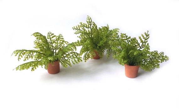 Dollhouse Miniature Garden Fern Plant Scale 1 6 Etsy
