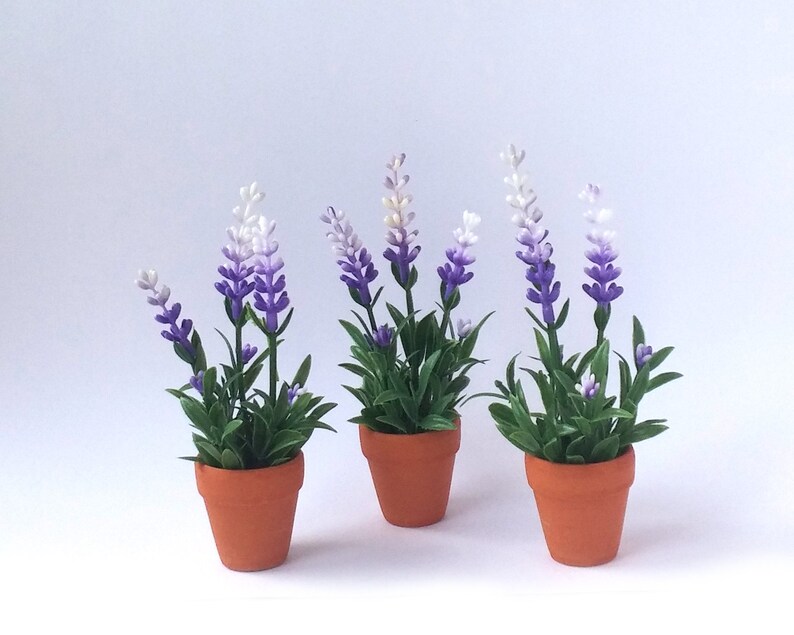 Dollhouse Miniature Lavender Plant Mini Lavender Pot Etsy