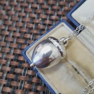 Peut inclure: Un collier pendentif en forme de gland en argent. Le pendentif est en forme de gland en trois dimensions, avec un chapeau texturé et un corps lisse et réfléchissant. La chaîne du collier est délicate et argentée, présentée dans un écrin bleu.