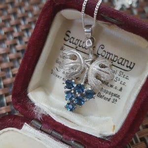 May include: A silver necklace with a grape cluster pendant. The pendant features a cluster of blue gemstones and detailed leaf accents. The necklace is displayed in a burgundy velvet jewelry box.