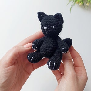 May include: A small black crocheted cat toy with white accents on the paws and face.