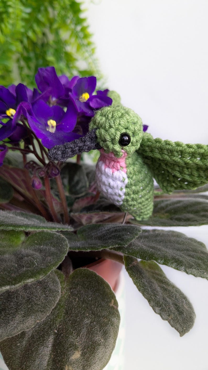 May include: A crocheted hummingbird toy with green and pink feathers, perched on a potted African violet plant with purple flowers.