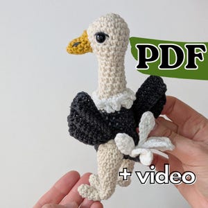 May include: A crocheted vulture toy with a cream-colored head and neck, a yellow beak, dark gray wings, and cream-colored legs. The toy features a white ruff around the neck and a white tail. The image includes the text PDF and + video.