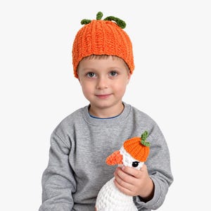 May include: A bright orange crocheted beanie with a ribbed texture and a small green stem on top. The hat is paired with a white crocheted goose toy that wears a matching miniature orange crocheted hat with a green stem on its head.