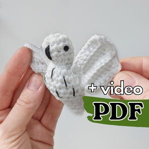 May include: A white crocheted bird with black stitched eyes and beak details, featuring spread wings and a textured yarn surface. The image includes the text + video PDF overlaid on a green shape in the bottom right corner of the frame.
