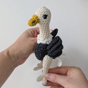 May include: A crocheted vulture toy featuring a cream-colored head and neck, a yellow beak, a white ruff around the neck, and a dark gray body with matching wings. The bird has black plastic eyes and cream-colored legs with three-toed feet.