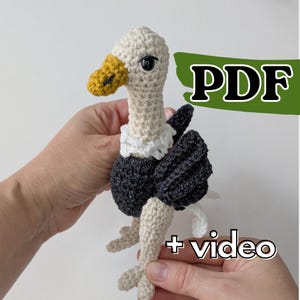 May include: A crocheted vulture toy featuring a cream-colored head and neck, a yellow beak, a white ruff, and a dark gray body with matching wings. The image includes the text PDF and + video, indicating a digital pattern and tutorial.