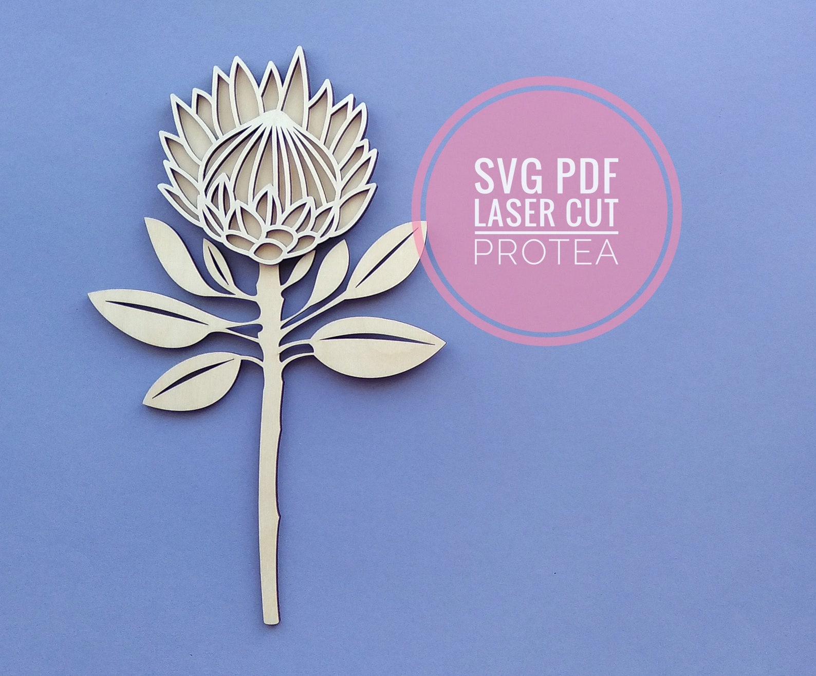 Protea vector laser cut flowers Protea digital download Etsy