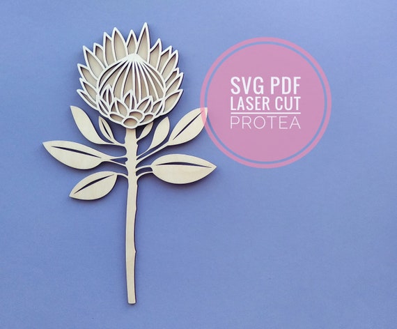 Protea Vector Laser Cut Flowers Protea Digital Download Etsy