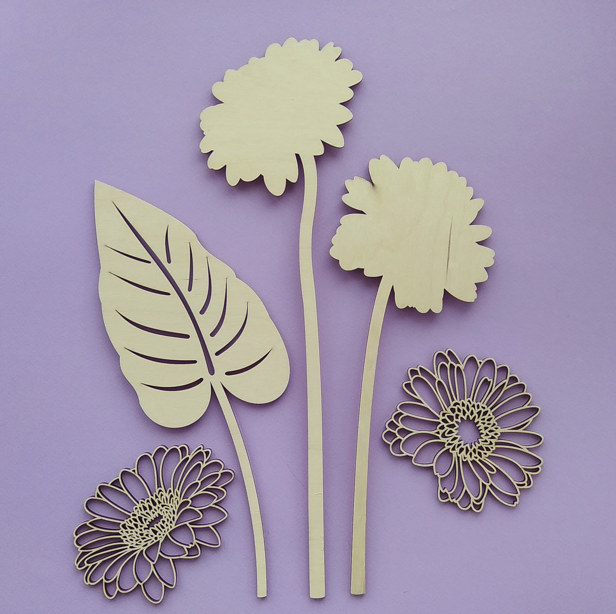 Free Free 151 Daisy Flower Vector Svg SVG PNG EPS DXF File