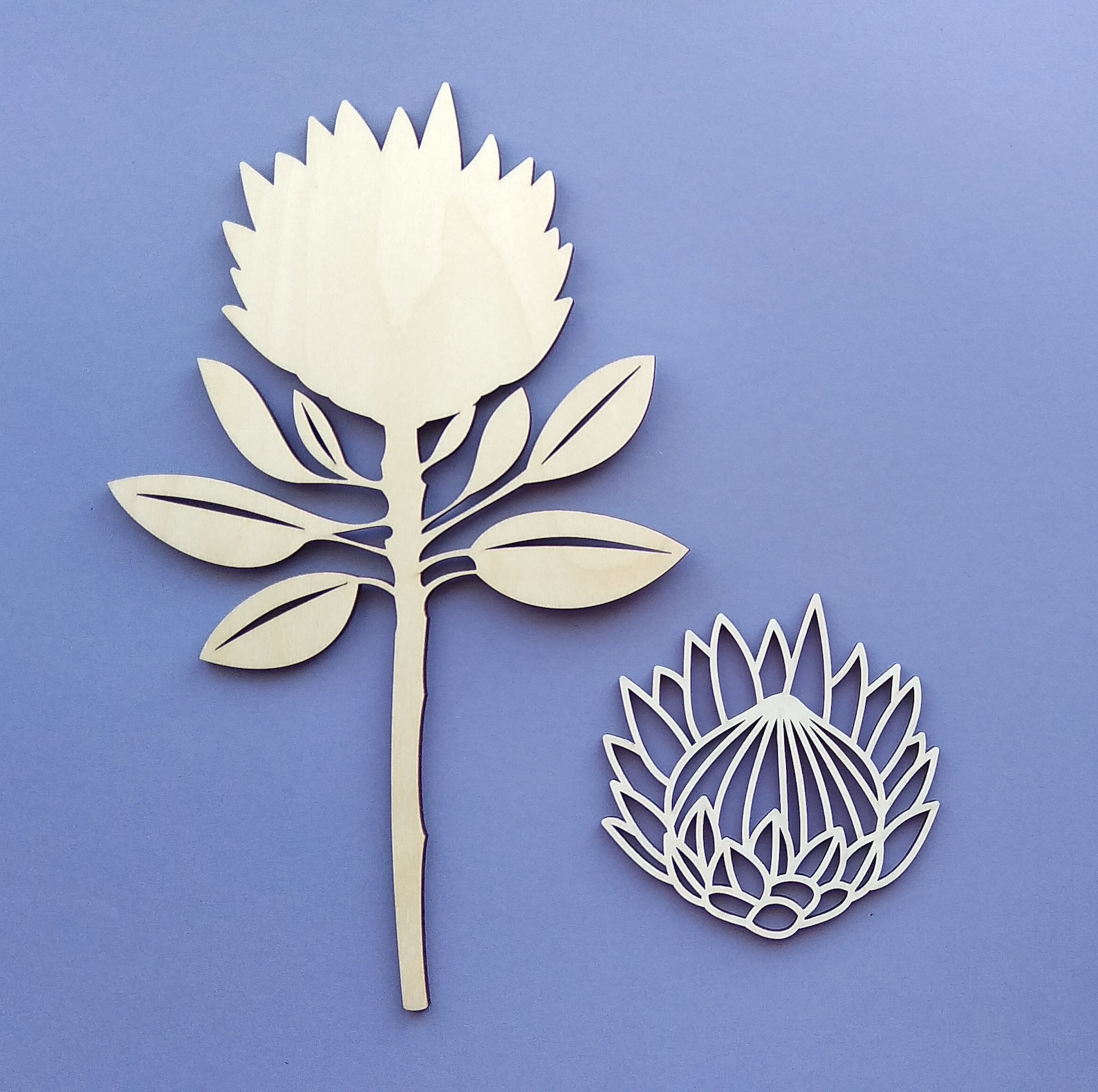Protea vector laser cut flowers Protea digital download Etsy