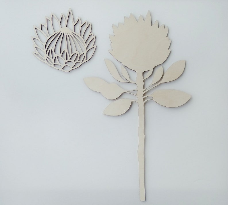 Protea vector laser cut flowers Protea digital download Etsy