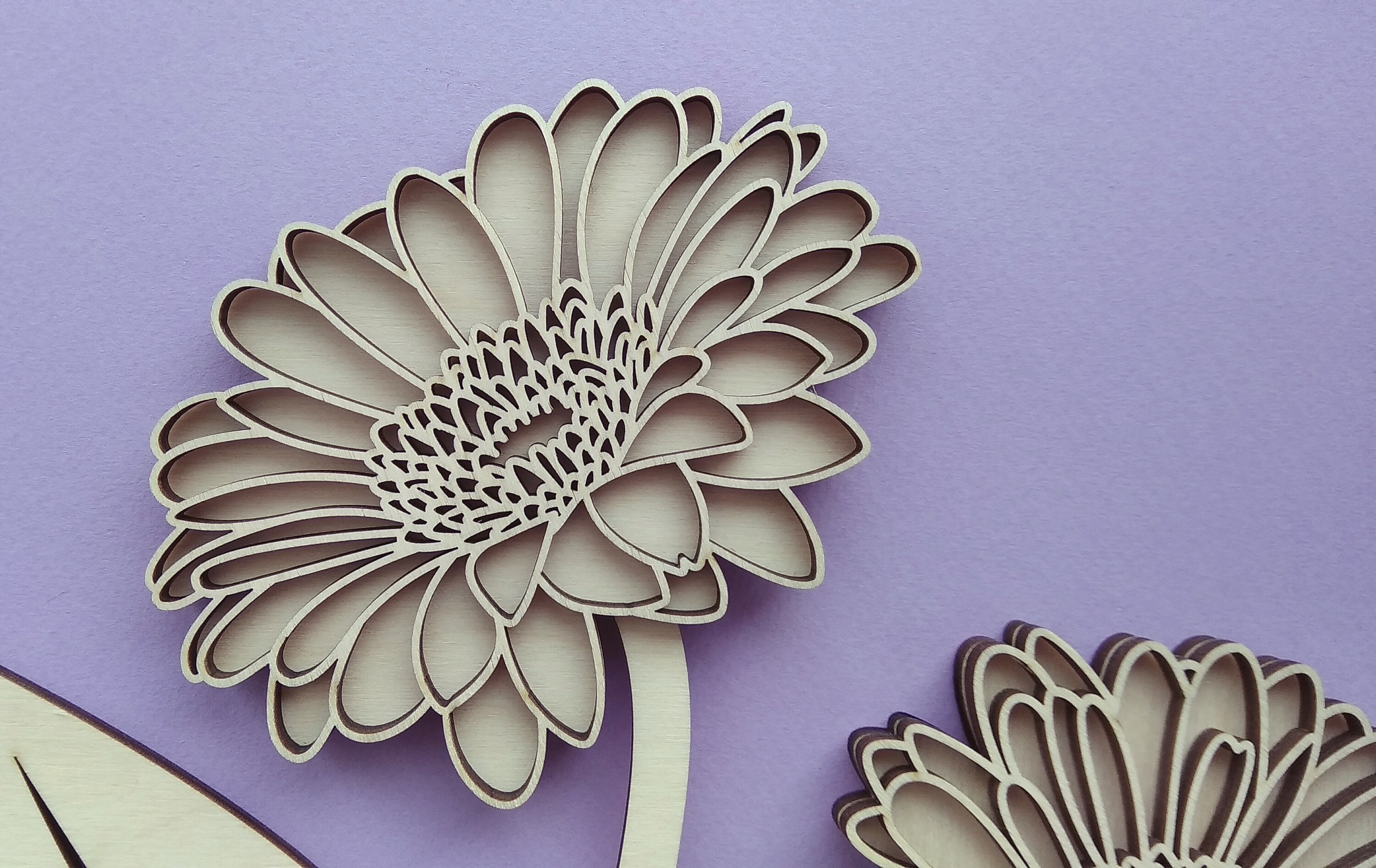 Free Free Daisy Flower Vector Svg 335 SVG PNG EPS DXF File