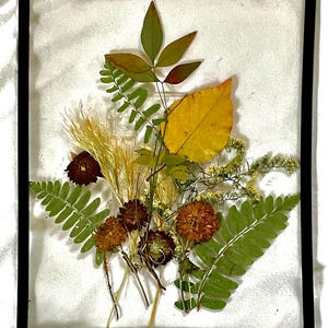 May include: A framed botanical art piece featuring a variety of dried flowers and leaves. The arrangement includes green ferns, yellow and brown dried flowers, and a large yellow leaf. The frame is black and square, with a clear backing.