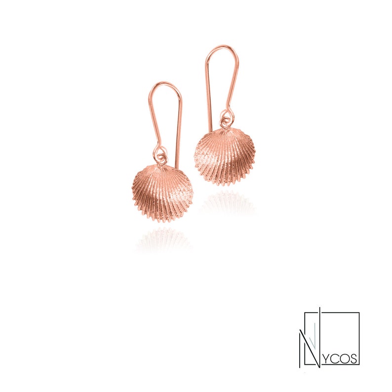 Silver seashells earrings