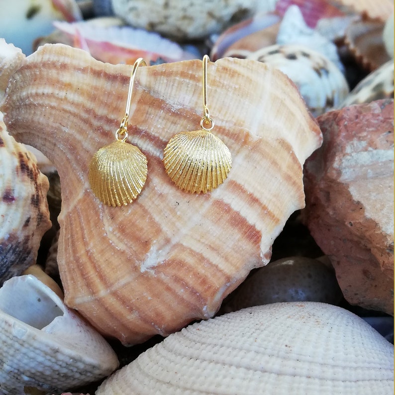 Silver seashells earrings