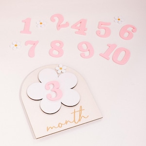 Marqueurs d'étapes mensuels pour bébé, marguerites, cartes d'étapes mensuelles en bois interchangeables, cadeaux de baby shower, accessoires photo nouveau-né pour filles