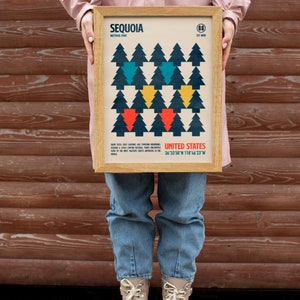 Op de afbeelding: Een ingelijste poster met een geometrisch ontwerp van bomen in tinten blauw, groen, geel en rood. De poster heeft de titel "Sequoia National Park" en bevat de co&ouml;rdinaten "36&deg;33&prime;50&Prime;N 118&deg;46&prime;23 W".