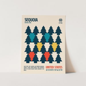 Op de afbeelding: Een poster in retro-stijl met een geometrisch ontwerp van donkerblauwe dennenbomen met rode, gele en blauwe accenten. De poster bevat de tekst "Sequoia National Park" en "Verenigde Staten 36&deg;33&prime;50&Prime;N 118&deg;46&prime;23&Prime;W".