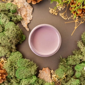 May include: A small, round container of purple paint surrounded by green moss, pine cones, and small red mushrooms.