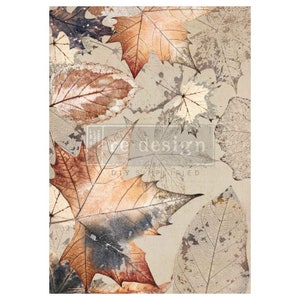 May include: A digital paper featuring a pattern of brown, grey, and white leaves with a faded, vintage look. The leaves are layered and overlapping, creating a sense of depth and texture. The background is a light beige colour. The text "re-design" is visible in the centre of the image.