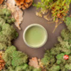 May include: A small, light green bowl filled with a light green substance, surrounded by a wreath of green moss and dried orange flowers.