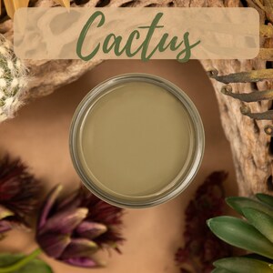 May include: A small jar of green paint with the word "Cactus" written in cursive above it. The jar is surrounded by various plants and natural elements.
