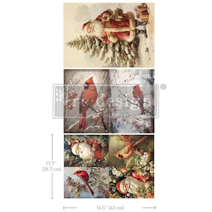 May include: A collage of six images featuring a red cardinal bird, a Santa Claus figure, and a winter scene. The images are arranged in a grid pattern and measure 11.7 inches by 16.5 inches.