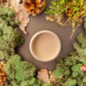 May include: A small white ceramic bowl filled with a light brown substance, surrounded by a wreath of green moss, pine cones, and dried leaves.
