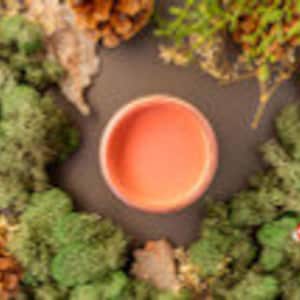 May include: A wreath of green foliage with brown pinecones and red berries surrounds a small, round, orange-coloured candle holder.