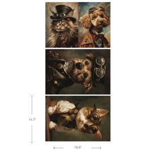 ANIMAUX DE COMPAGNIE PRÉFÉRÉS ~ Emballage exclusif de fibres de découpage A3, y compris Steameow ~ Redesign avec Prima Furniture DiY / Upcycling / Animaux / Peinture à la craie